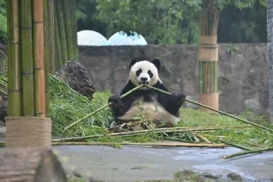 图片18.png
