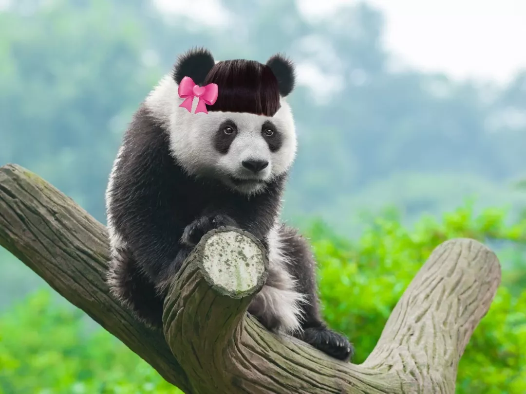 图片9.png