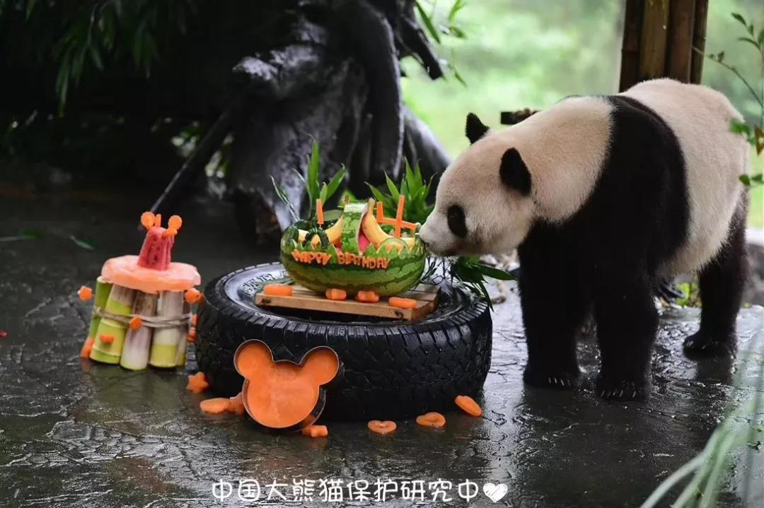 图片17.png