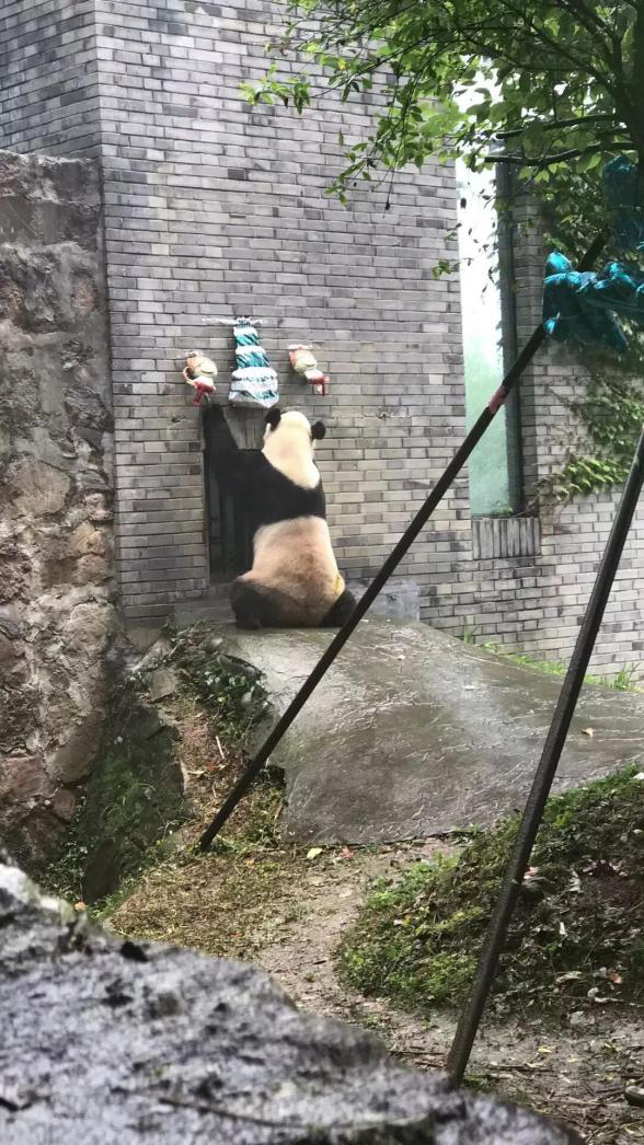 图片2.png