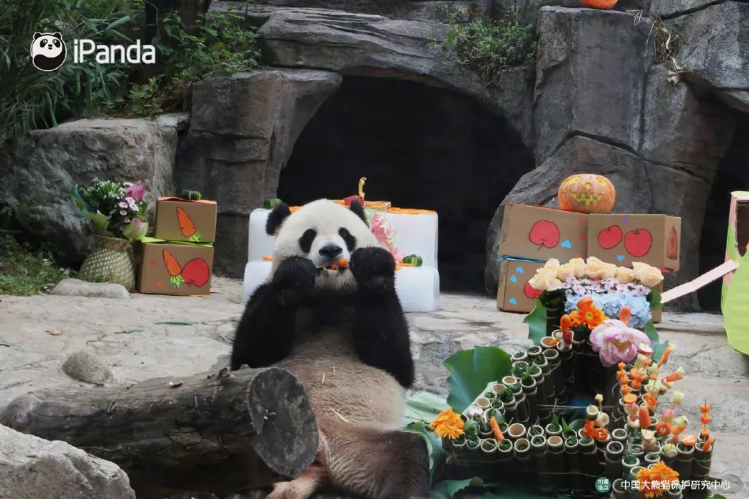 图片11.png