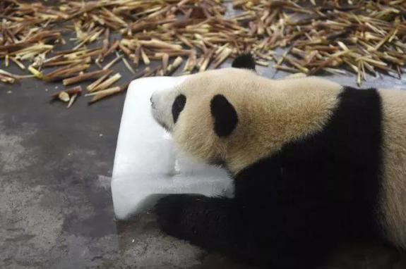图片8.png